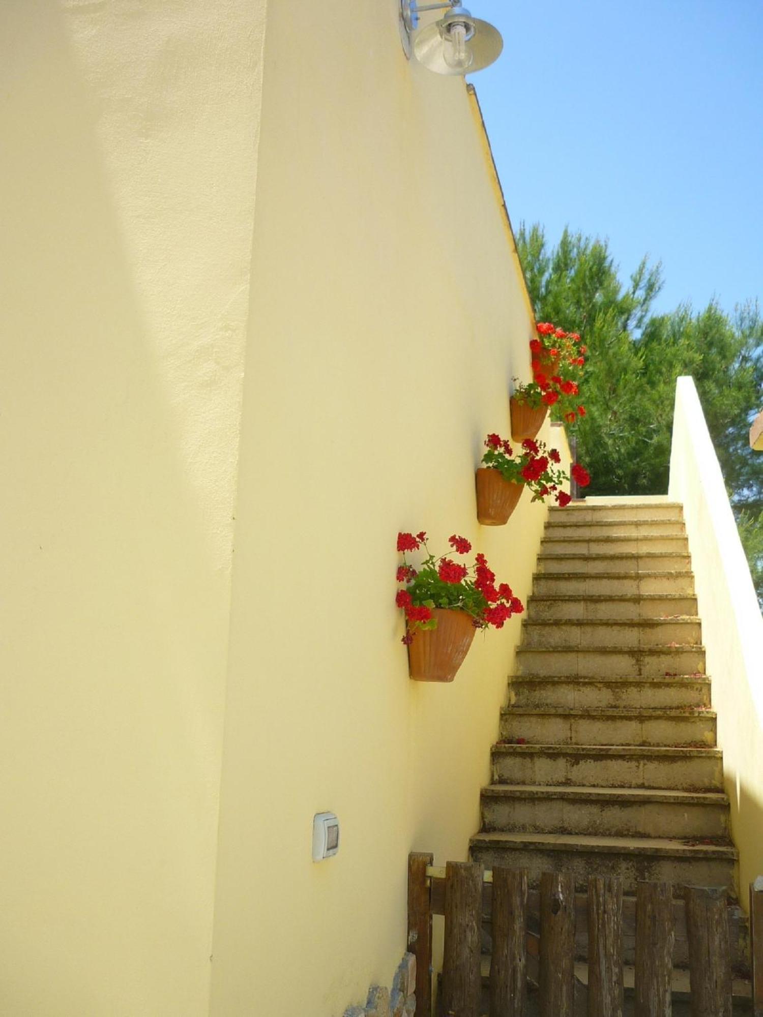 Agriturismo Tenuta La Siesta Gallipoli Exterior foto