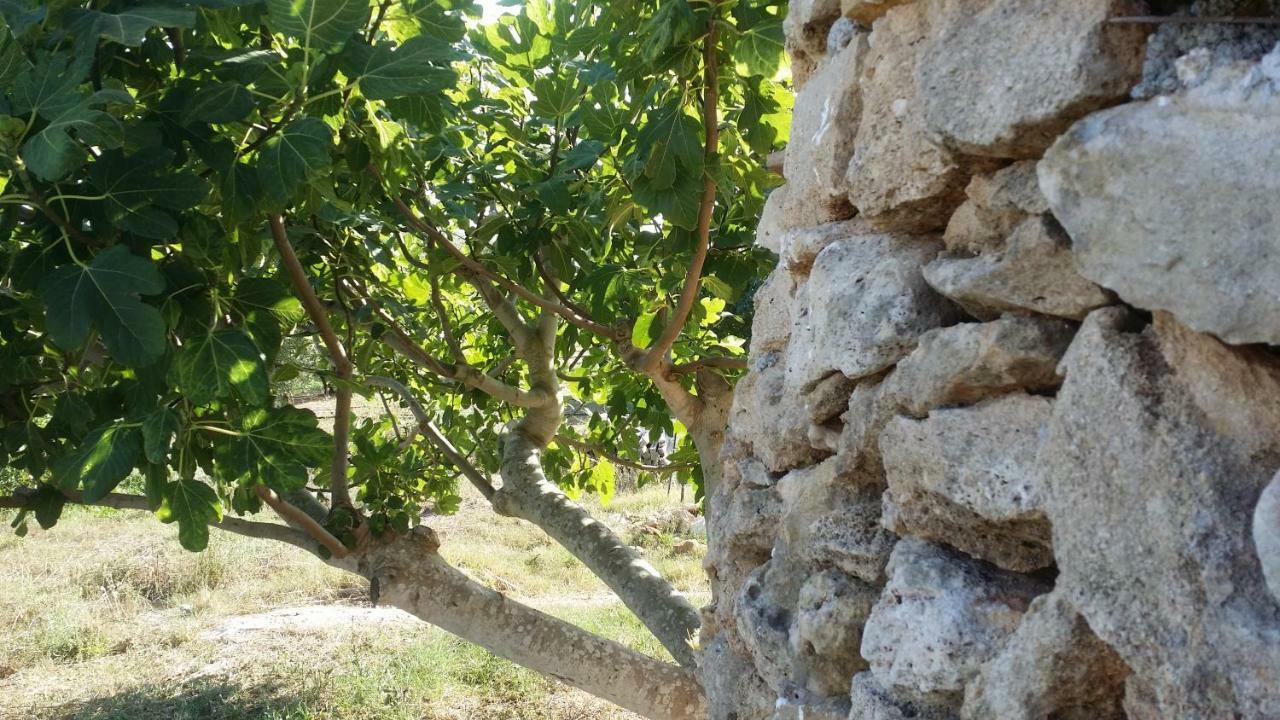 Agriturismo Tenuta La Siesta Gallipoli Exterior foto